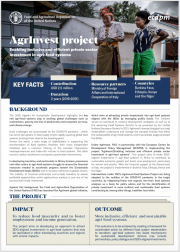 Flyer - AgrInvest Project